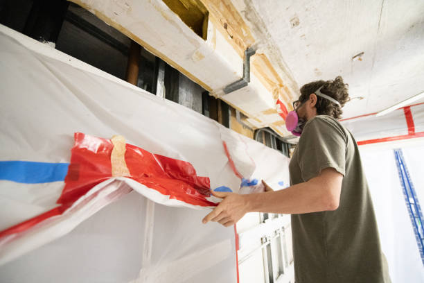 Trusted Clarence Center, NY Mold Removal Experts